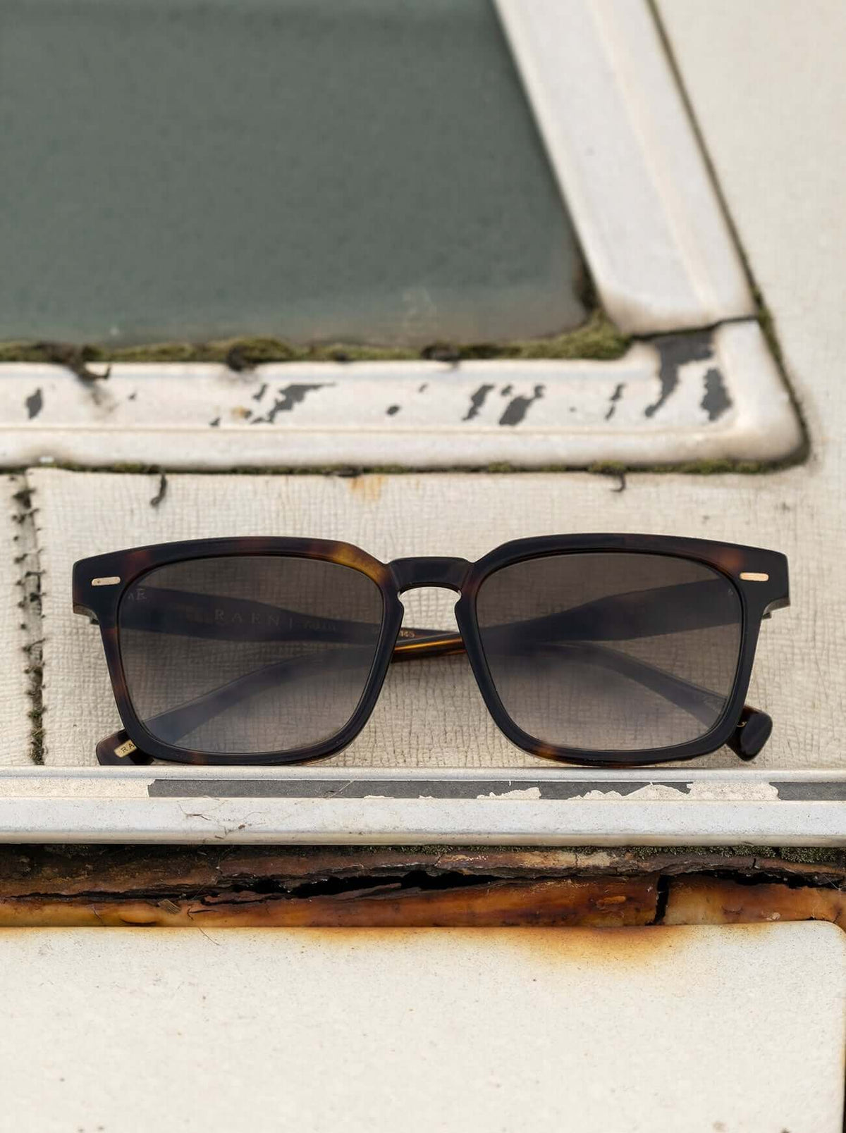 RAEN Adin Kola Tortoise / Green Polarized worn