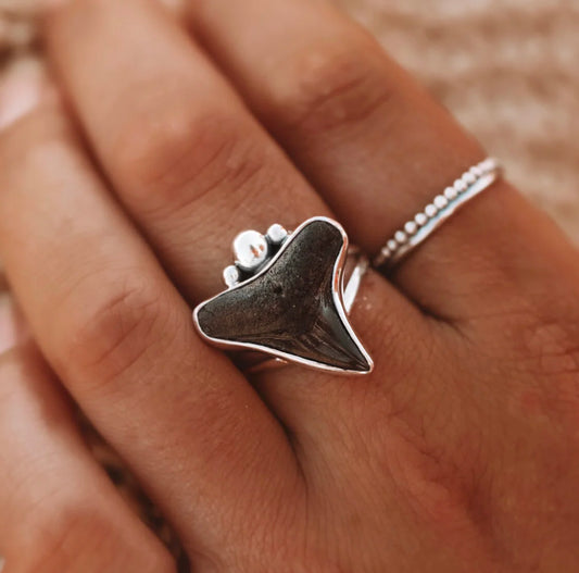 Mahloe - Fossilised Shark Tooth Ring