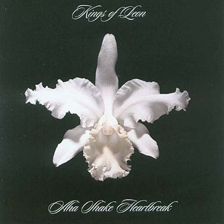 Kings of Leon – Aha Shake Heartbreak – vinyl record