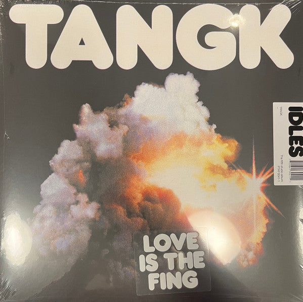 IDLES TANGK vinyl record album cover art