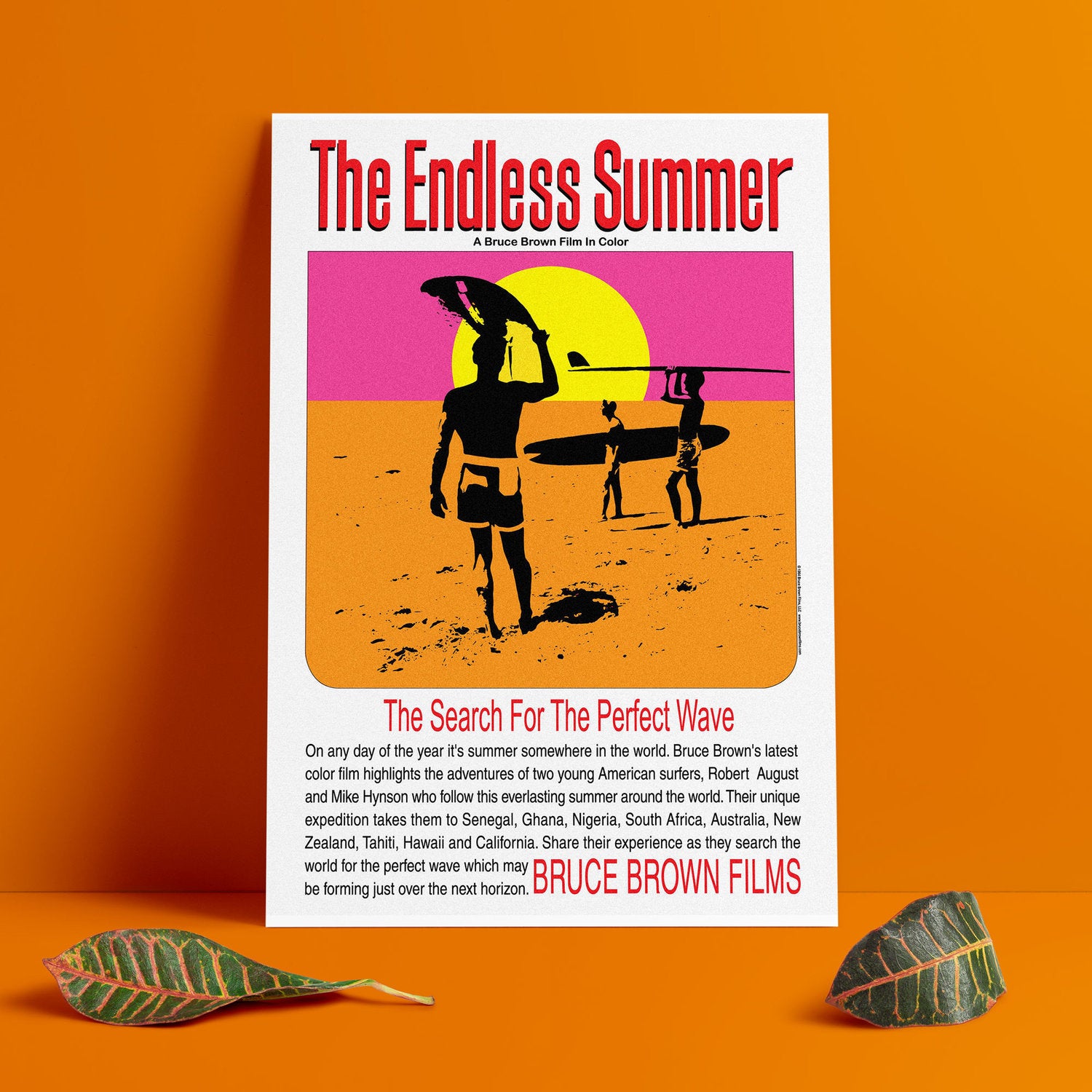 The Original Endless Summer Movie Poster