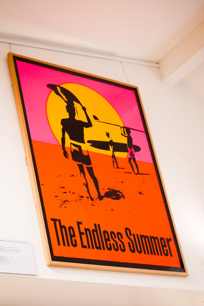 The Endless Summer XL Collector Art Edition (2024)