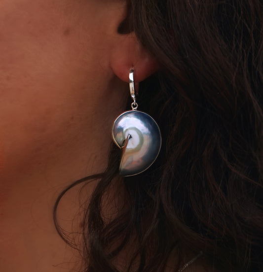 Mahloe Nautilus Shell Earrings