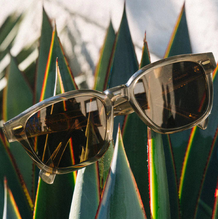 RAEN CARBY Polarized